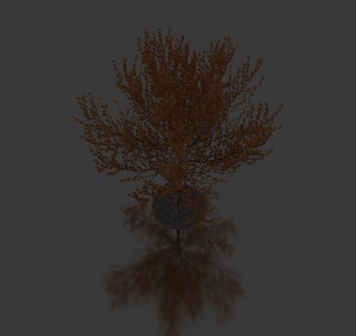 Realistic tree preview image